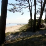 La Playa - The Beach