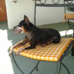 Enjoying the 90 degree weather DSC00738.JPG