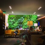 American Express Centurion Lounge Buenos Aires