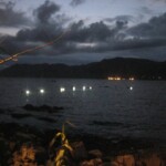 Fishing for squid at night img_1748.jpg