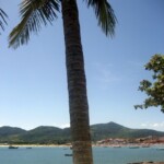 A view from the walk to Pantano do Sol img_1844.jpg